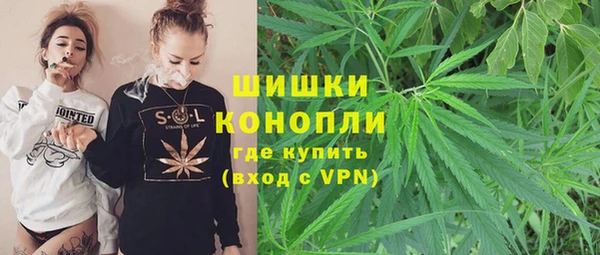 spice Медногорск