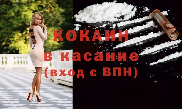 твердый Мегион