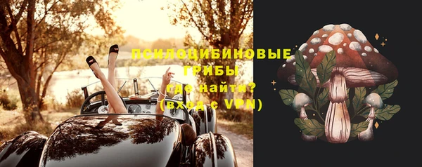 твердый Мегион