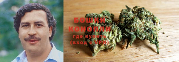 spice Медногорск